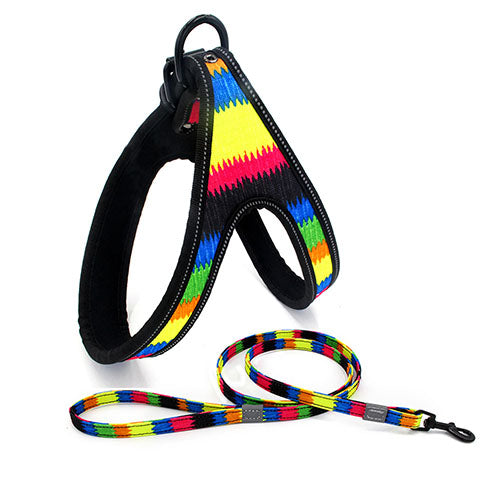 Colorful Gentle Harness
