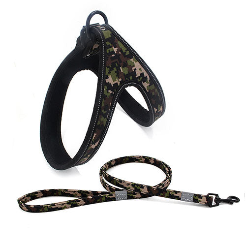 Colorful Gentle Harness