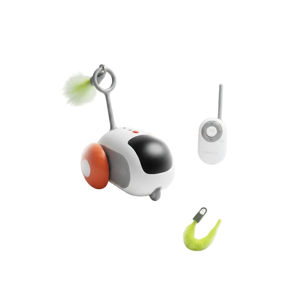 Smart Controller Toy Car