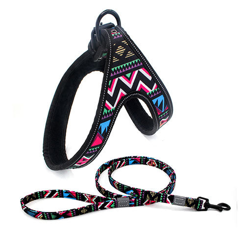 Colorful Gentle Harness