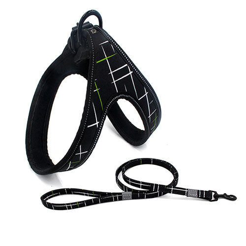 Colorful Gentle Harness