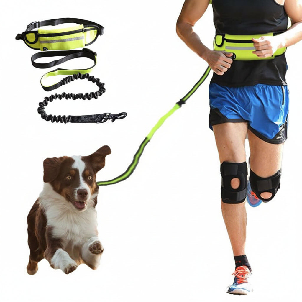 Hands Free Dog Running Belt