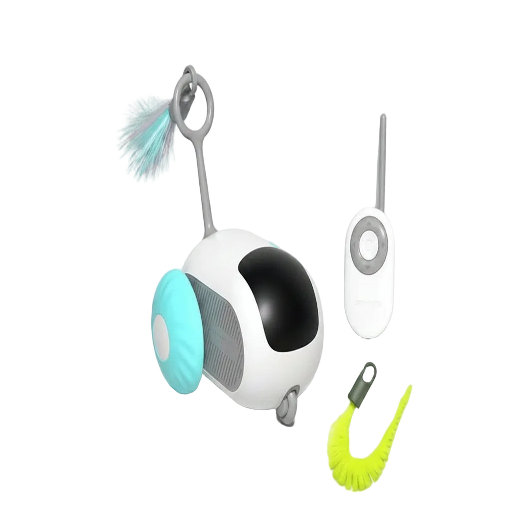 Smart Controller Toy Car