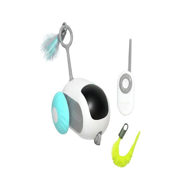 Smart Controller Toy Car